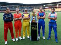 逐渐成长为 逐渐成长为