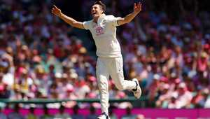 长期职业生 长期职业生